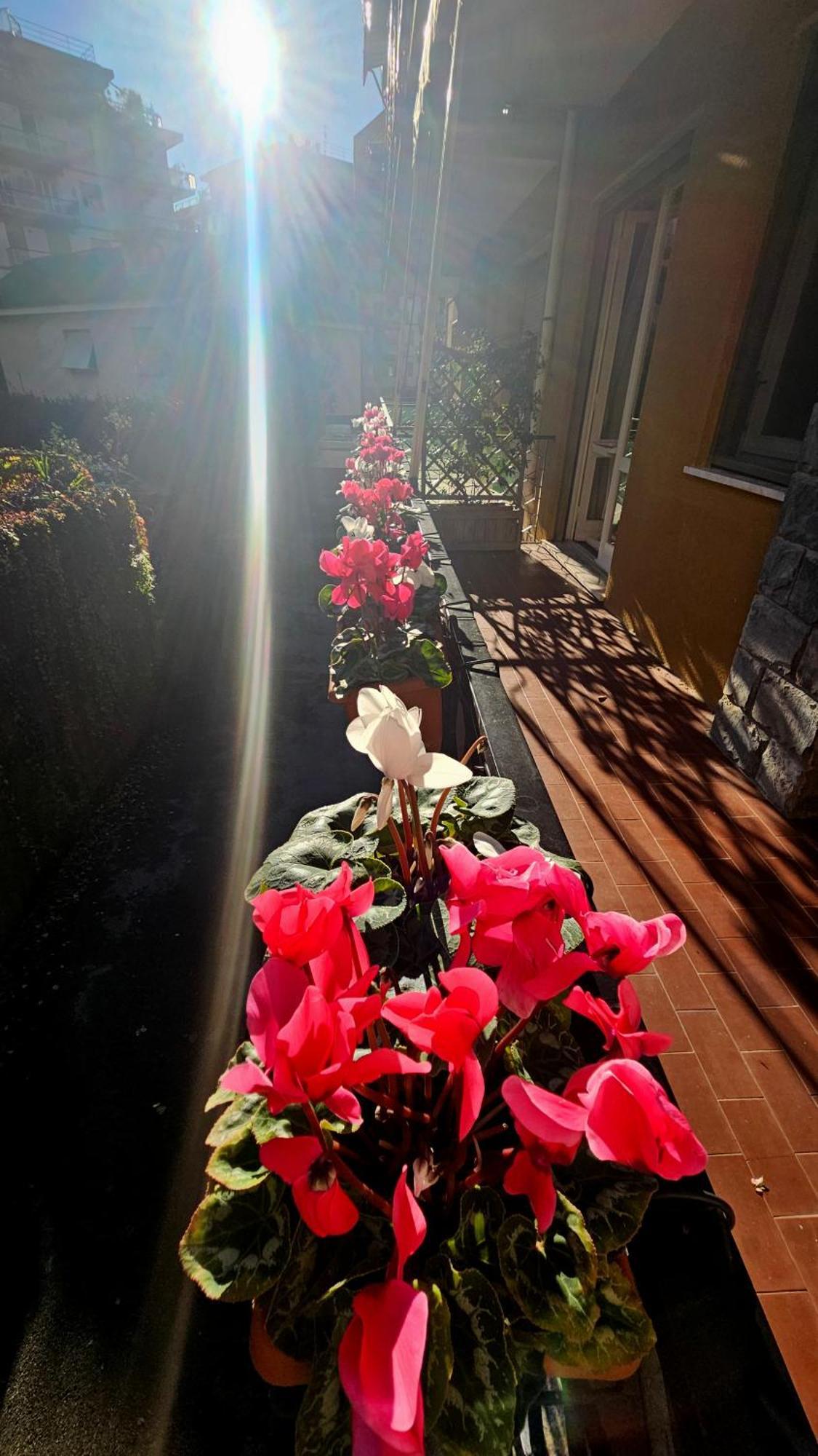 Casa Con Giardino Vicino Al Mare Apartment Rapallo Ngoại thất bức ảnh